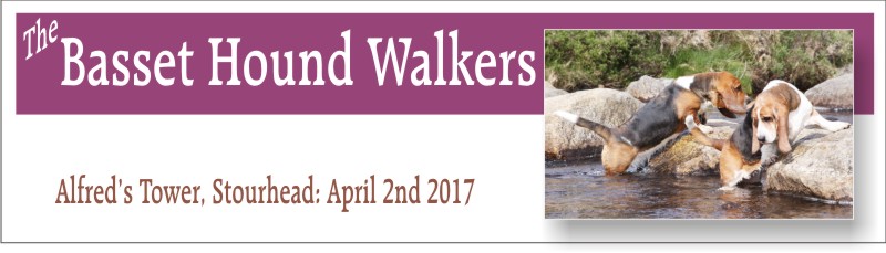 Basset Hound Walkers Storhead 2017